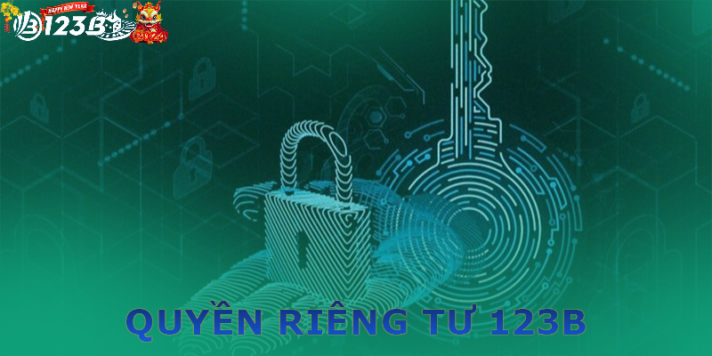 Tổng quan về quyền riêng tư 123b